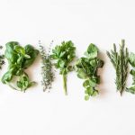 Preserve & Stretch Week 3: Stretch Your Herbs, Not Your Budget: Preserve for Weeks to Come